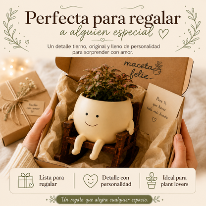 Maceta Mecedora Feliz